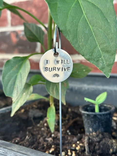 Hand Stamped Plant Markers