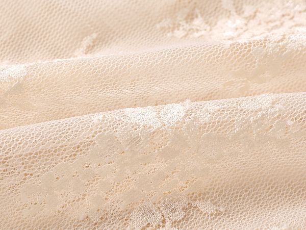 Beige Semi Sheer Mesh Floral Lace Layering Top